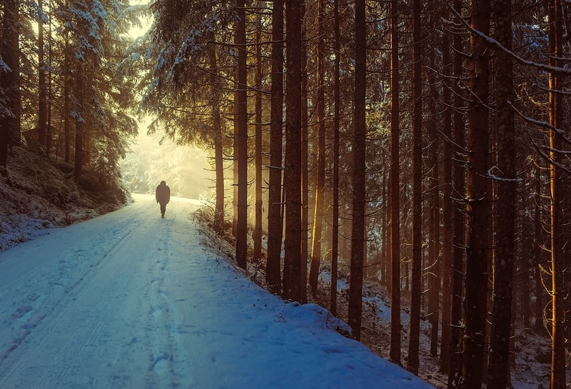 Mindful Movement in Nature